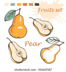 Vector illustration of pear. Yellow and red. Sketch cut and whole fruit.