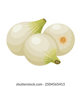 Vector illustration of pearl onions, also known as button onions, baby onions or silverskin onions, isolated on white background.