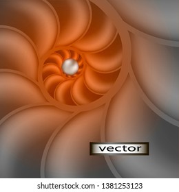 Vector illustration. Pearls in a Shell, inside of a twisted shell structure of partitions, chambers cross-section, cut along
