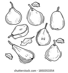 vector illustration of pears in Doodle style. contour drawing of a pear. imaginary fruit design.