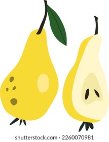 Vector illustration of pears on a white background
