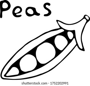 Vector illustration of a peas in the Doodle style, hand-drawn black outline on a white background with the text "Peas". Can be used for paper, textiles, fabrics, books, paper Wallpaper