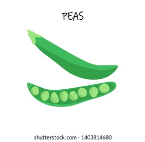 Vector illustration of peas. Modern flat design. Art can be used for packaging design element; restaurant menu; vegan logo. 