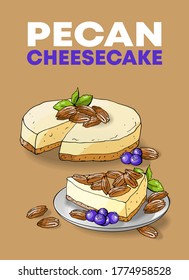 Vector illustration Pecan cheesecake pie
