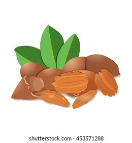 Vector illustration pecan nut. A handful of shelled pecans nuts in shell and shelled, leaves. Tasty Image on white background nuts for printing on packaging, advertising of healthy foods