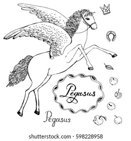 vector illustration. Pegasus sketch. Flying horse with wings and apple