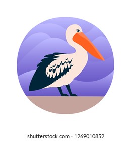 Vector illustration of pelican in a flat style. Atlantic seabird. Cartoon style