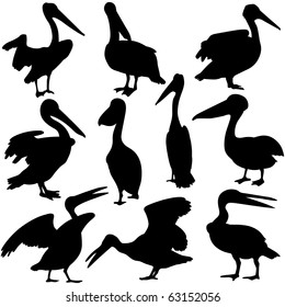vector illustration of pelican silhouettes