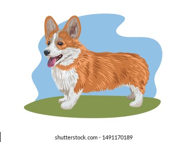 Vector illustration of pembroke welsh corgi. Perfect for greeting cards, invitations, decoration etc.