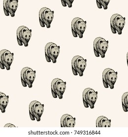 Vector illustration. Pen drawn vector panda bear. Element of seamless pattern.