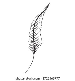 vector illustration of pen graphic design, icon, art tattoo sketch, logo, use in print, hand draw