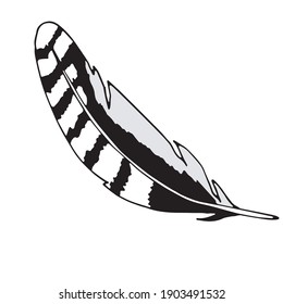 Ilustración vectorial de una pluma. Imagen aislada de una pluma azul. Pluma blanca y negra en forma de doodle.