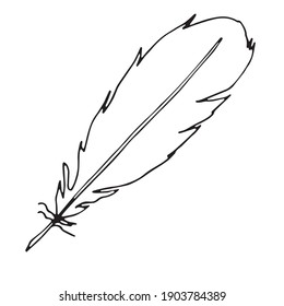 Vector illustration of a pen. Isolated image of a parrot feather. Black and white feather in doodle style.