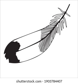 Vector illustration of a pen. Isolated image of a tit feather. Black and white feather in doodle style.