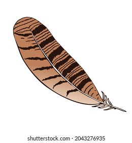 Ilustración vectorial de una pluma. Imagen aislada de una pluma de búho. Imagen de color de la pluma