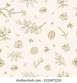 Vector illustration. Pen style drawing walnuts. Element of seamless pattern. Paper design.