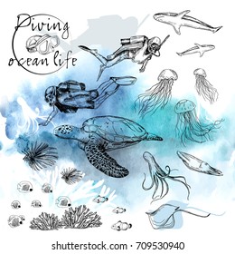 Vector illustration. Pen style vector sketch on underwater theme. Diver and ocean life.