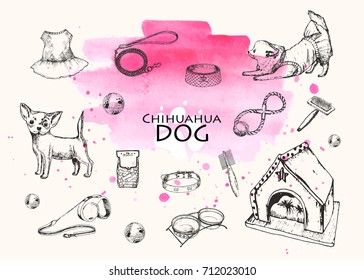 Vector  illustration. Pen style sketch objects on watercolor background. Chihuahua dogs with supplies. Dog shop theme.