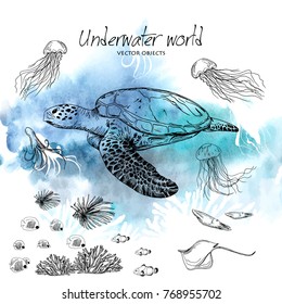 Vector illustration. Pen style vector sketch. Underwater world . Vector objects set.