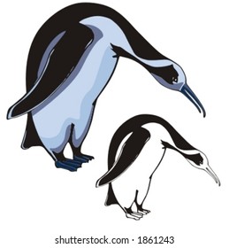 Vector illustration of a penguin.