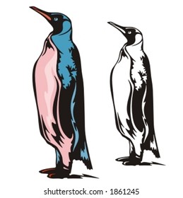 Vector illustration of a penguin.