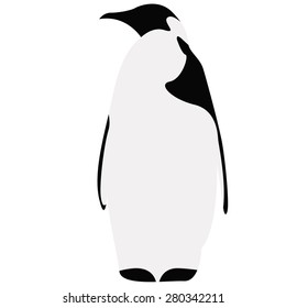 vector illustration of penguin