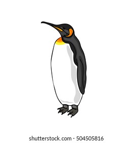 Vector illustration Penguin.The bird emperor penguin