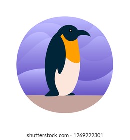 Vector illustration of penguin in a flat style. Atlantic seabird. Cartoon style