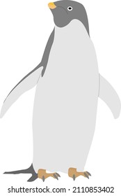 vector illustration of a penguin isolated on white background
