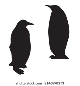 Vector Illustration of penguin silhouette