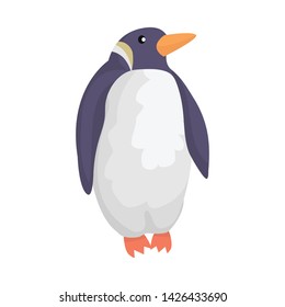 Vector illustration of penguin and white logo. Collection of penguin and wild stock symbol for web.