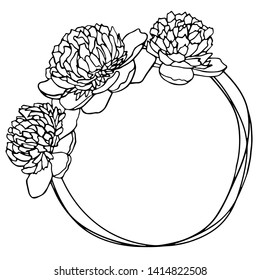 Vector illustration peonies floral frame circular hand drawn