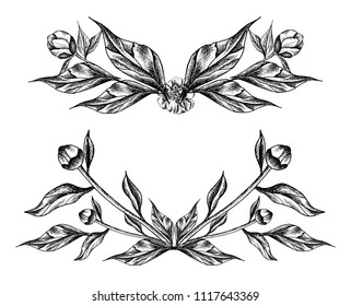 Vector illustration with peonies and leaves. Linear  graphics, sketch, ink drawing, imitation of engraving.  Hand drawn plants,  line-art on white background. Retro, vintage flowers.