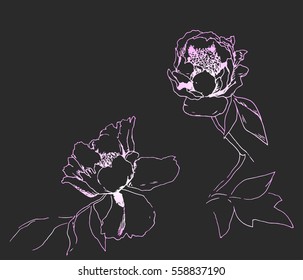 Vector illustration peony flowers. Inversion