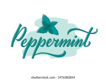 Vector illustration of peppermint lettering for packages, product design, banner, spice shop  price lists. Handwritten word with leaves for web or print
