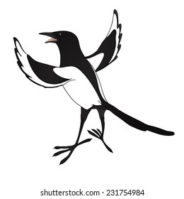 Vector illustration of peppy magpie with spread wings