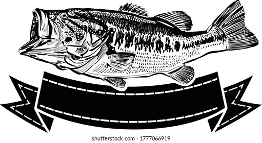 the vector illustration of the perch fish