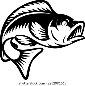 Vector illustration of a perch fish on a white background