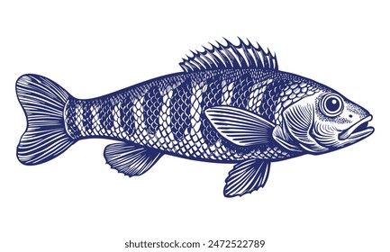 Vector illustration in perch style