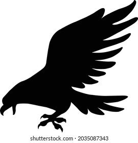 Vector illustration of a peregrine falcon, made in a realistic style. Bird of prey, falcon family silhouette different design
