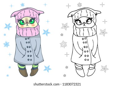 Vector illustration. Persian cat in coat and hat. Vector snowflakes. Winter illustration. Children's coloring.