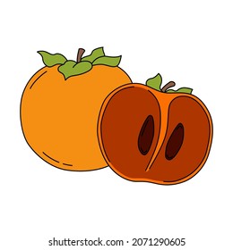 Vector illustration of persimmon. Half of persimmon in cartoon style. Sweet autumn fruit isolated on white background