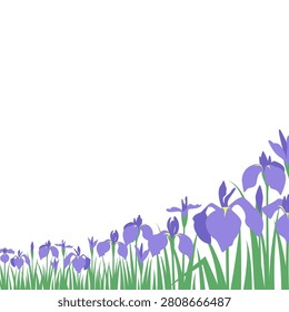 Vector illustration of a perspective landscape with many purple irises in bloom,  square.