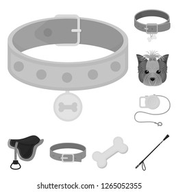 Vector illustration of pet and accessories symbol. Collection of pet and shop stock vector illustration.