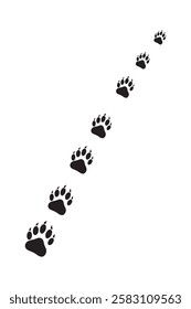 Vector illustration of pet foot trail
