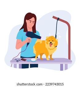 Vector illustration of pet service. Cartoon scene with the girl who washed the dog and now combed it and dried it with a hairdryer on white background.