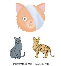 Vector illustration of pet and sphynx icon. Set of pet and fun vector icon for stock.