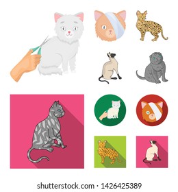 Vector illustration of pet and sphynx icon. Collection of pet and fun stock vector illustration.