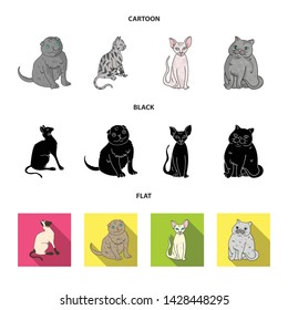 Vector illustration of pet and sphynx icon. Collection of pet and fun vector icon for stock.