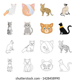 Vector illustration of pet and sphynx icon. Set of pet and fun stock symbol for web.